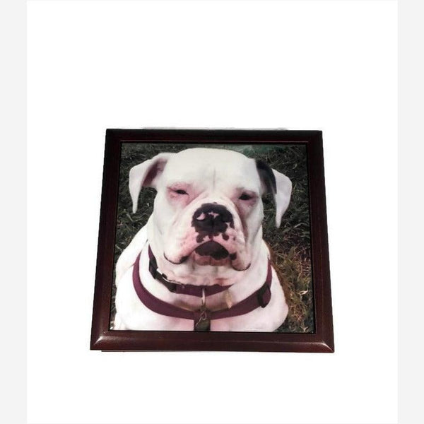 top view of rosewood keepsake box with personalized dog photo printed tile